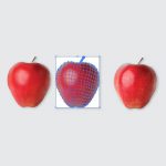 Malla- Illustrator - Manzana - Leemrt