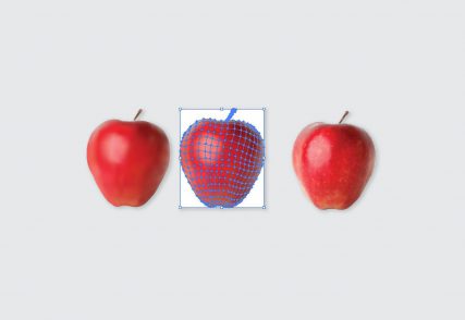 Malla- Illustrator - Manzana - Leemrt