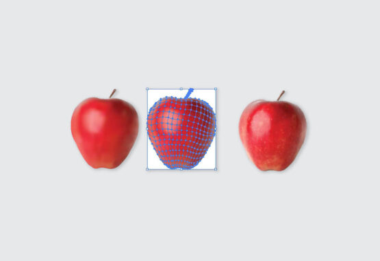 Malla- Illustrator - Manzana - Leemrt