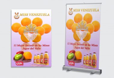 Afiche / Pendones - Miss Venezuela - Parodia