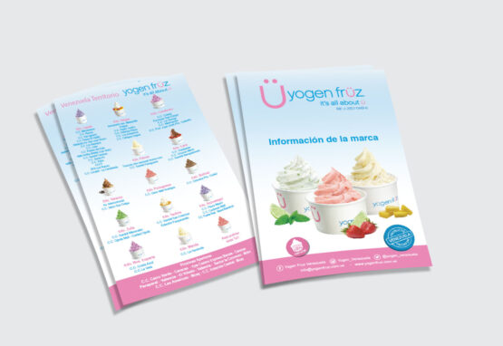 Volante / Flyer - Yogen Früz
